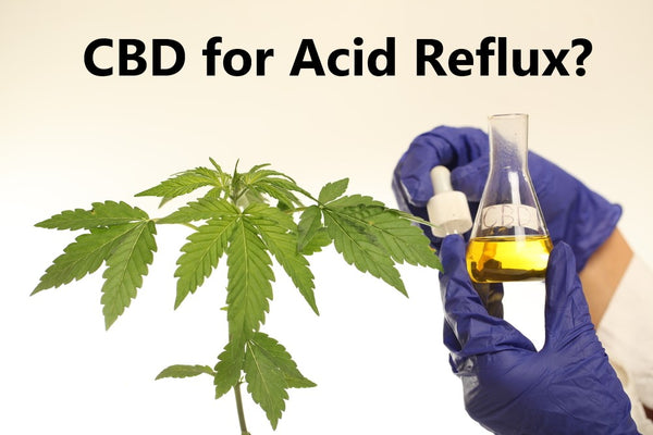 CBD Oil and Acid Reflux: Does It Work?