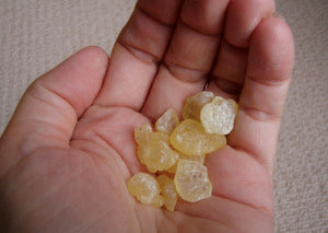 Can mastic gum reduce heartburn symptoms?